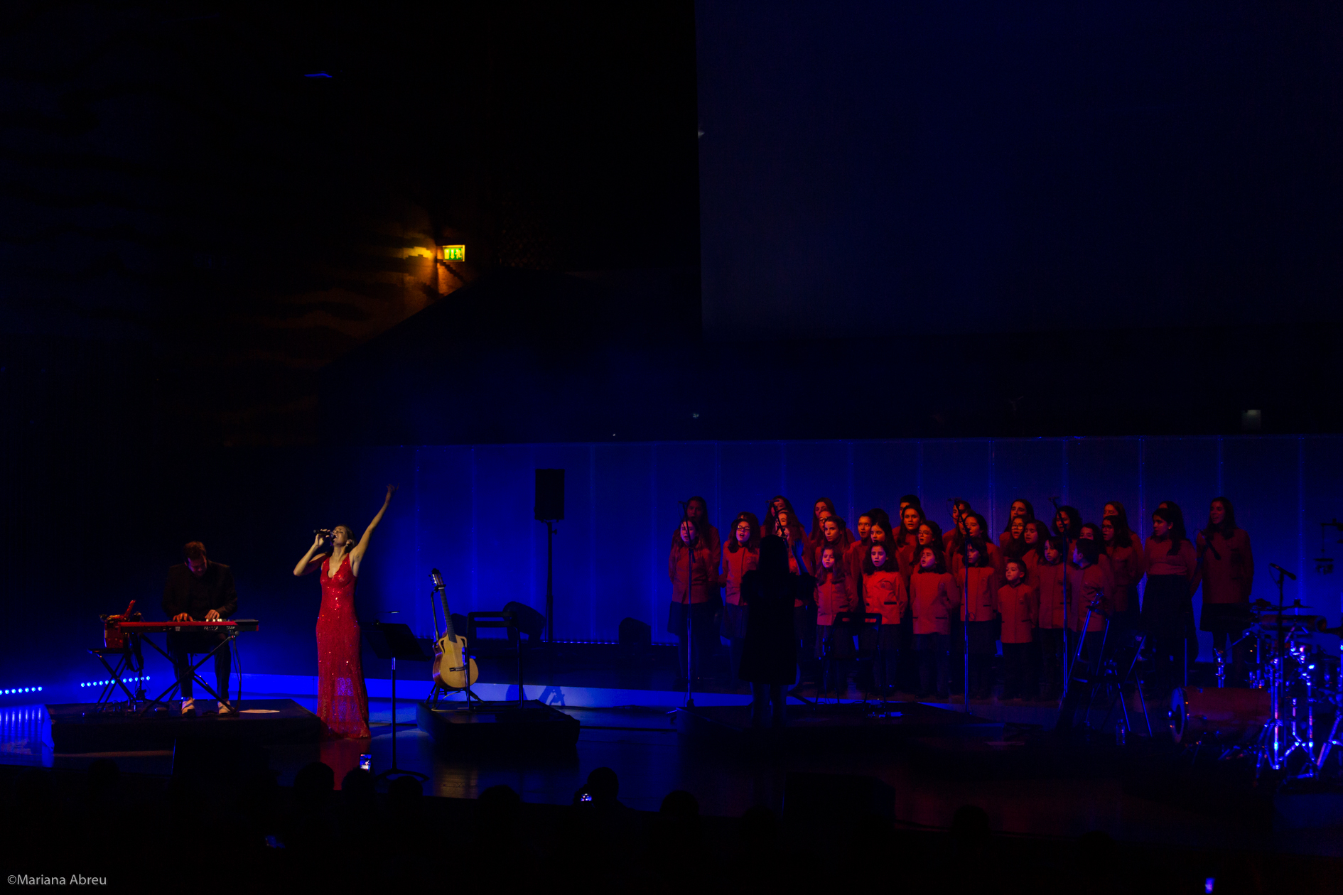 Concerto Solidário Cuca Roseta na Casa da Música